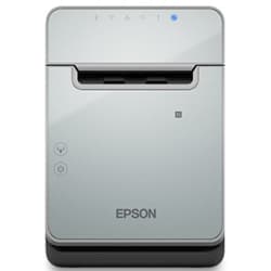 Impresora Termica Epson TM L100