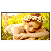 Pantalla LG 65" 65UL5Q digital signage 3840 × 2160 UHD 500 nits